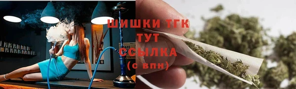 прущий лед Богородицк