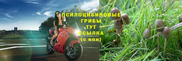 таблы Белокуриха