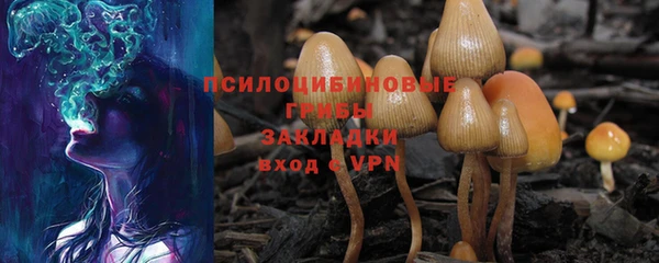 ешки Белоозёрский