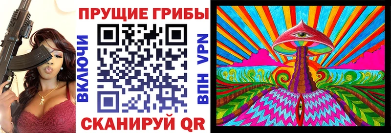 Купить  Саров  Псилоцибиновые грибы Cubensis 